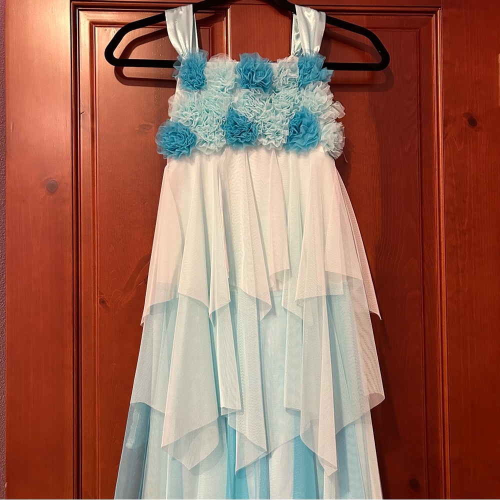NWOT Biscotti Blue Floral Tulle Dress